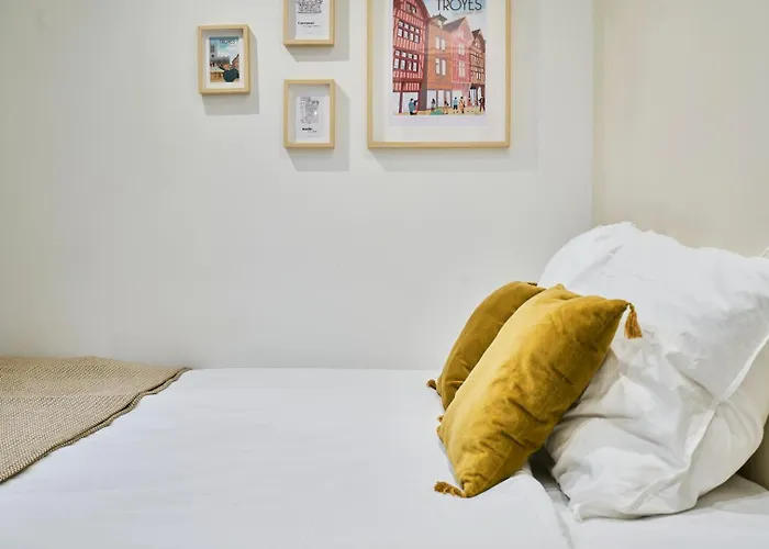 Le Champenois - Cocon Sous Les Toits Τρουά